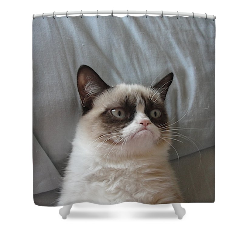 Grumpy Shower Curtain With Cute Cat Design 71’ Wide X 74’ Tall #1